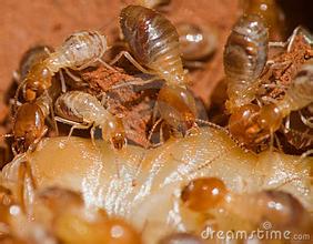 ��ρ��(zhu��n)������(w��)